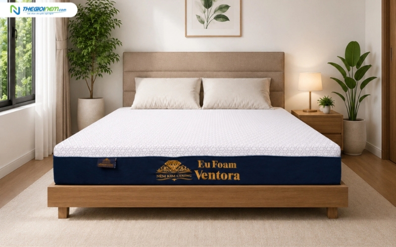 Nệm Kim Cương Eufoam Ventora 